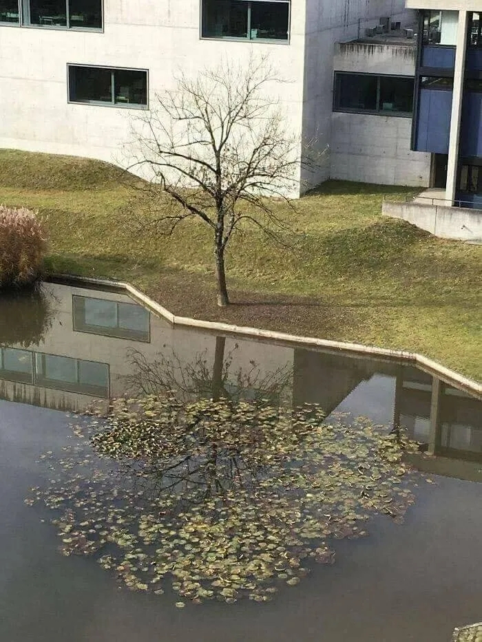 마니사라 이미지