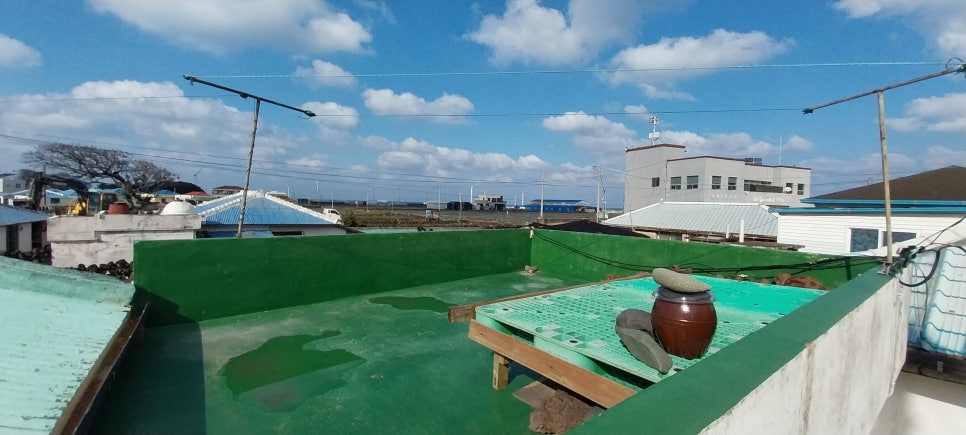 수원초등학교 이미지
