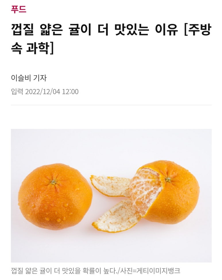 돌빌레 이미지