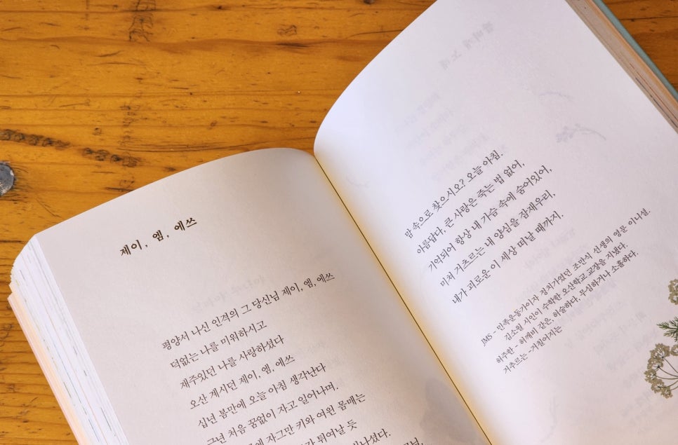 에쓰제이 이미지