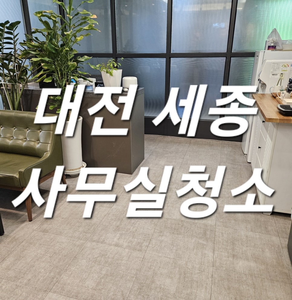 돌핀크린 이미지