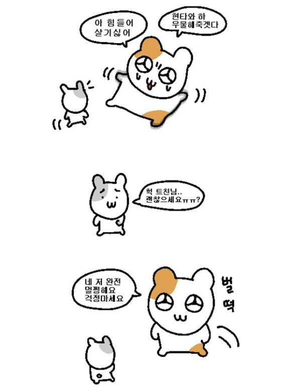 한국D&P 이미지