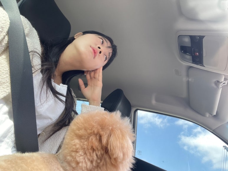 달리야드 이미지