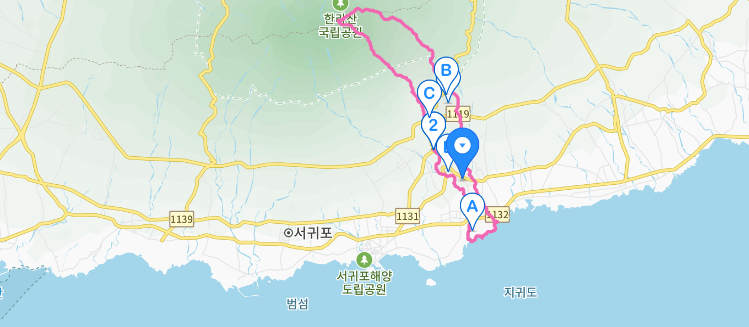 (주)디아나 이미지