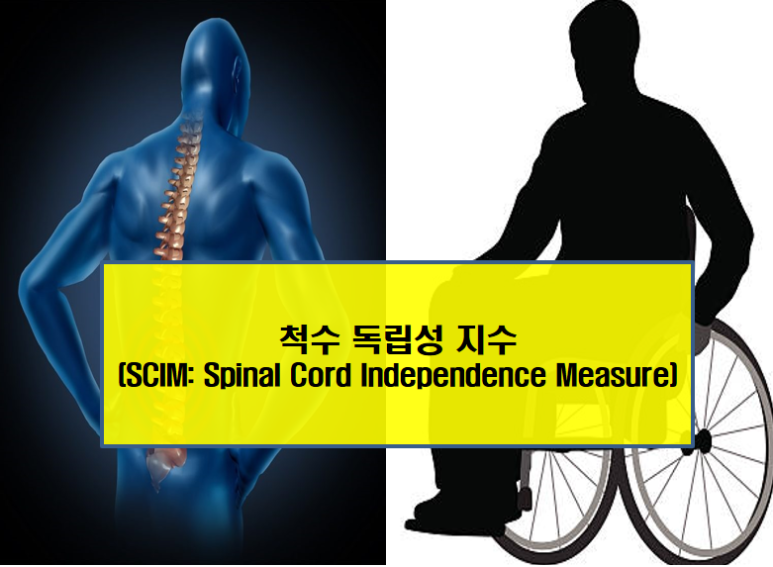 척수 독립성 지수(SCIM: Spinal Cord Independence Measure) : 네이버 블로그