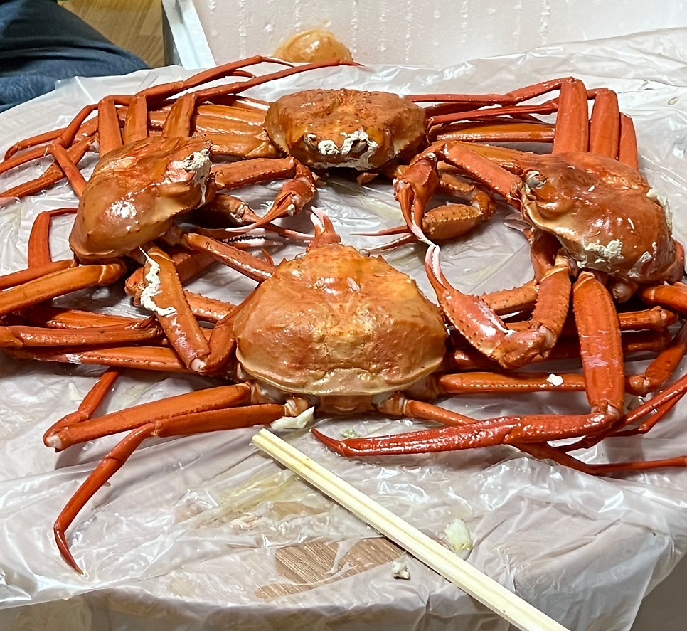 산호장여관 이미지