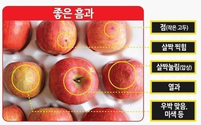 이레모바일 이미지