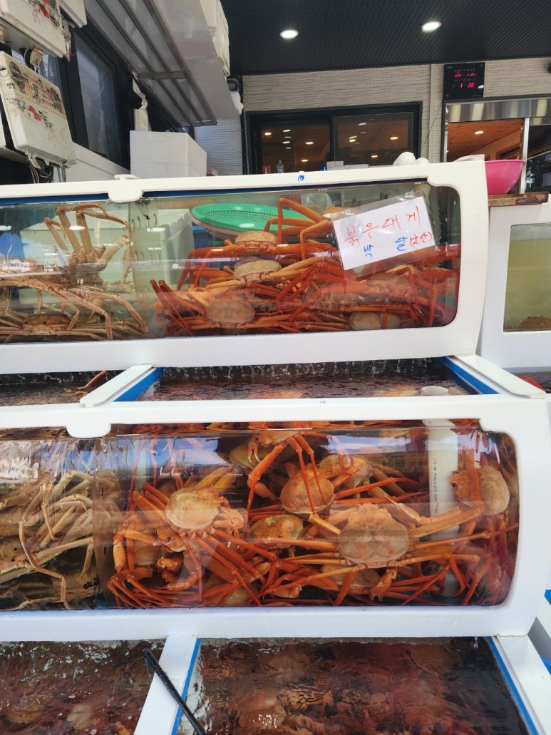 대게수산 이미지