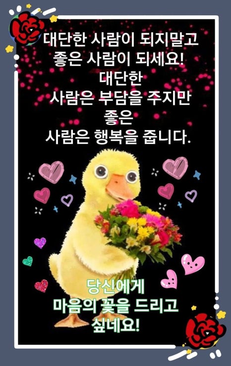 조은하루 이미지