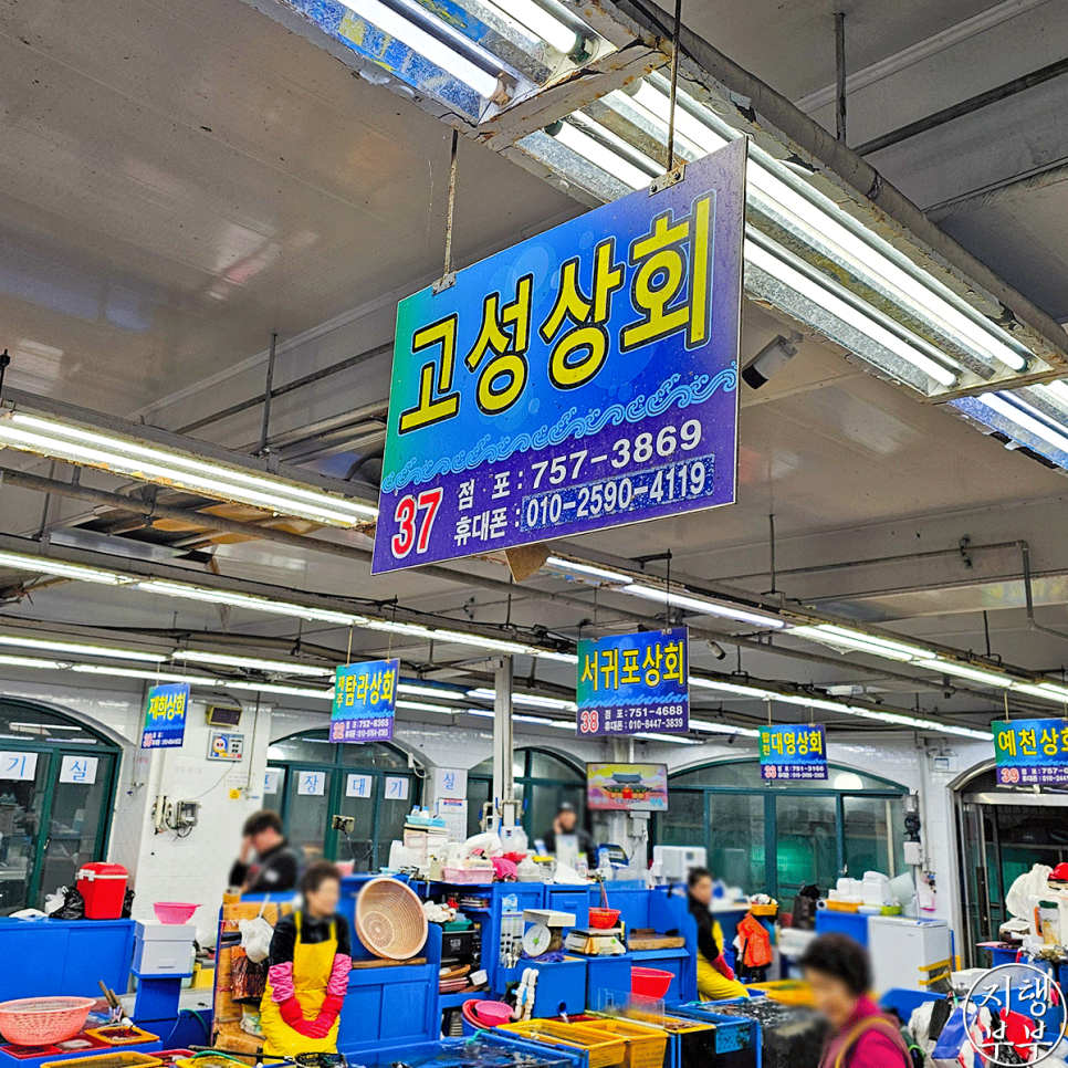 고성상회 이미지