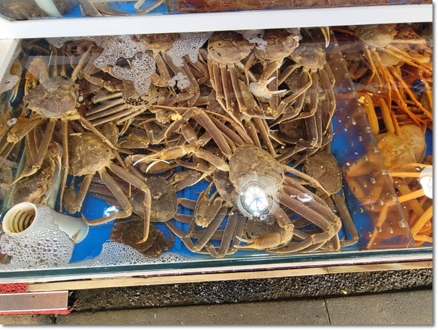 팔팔회센타 이미지