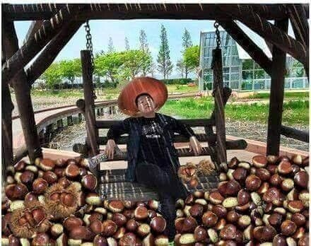 밤의제왕 이미지