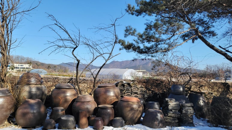 프란쓰 이미지
