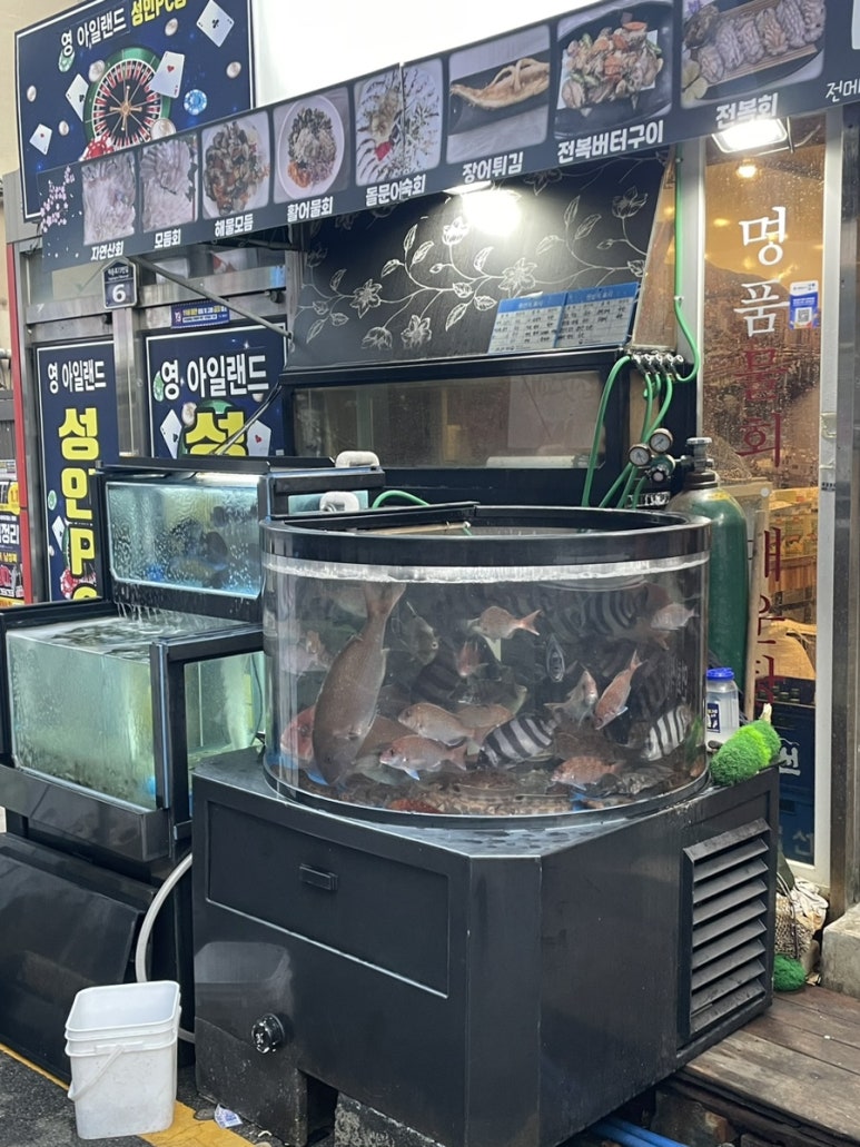 영도 대교횟집 이미지