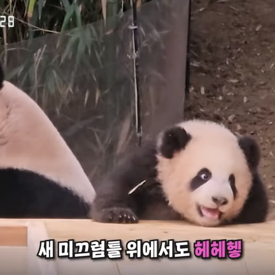 생활을판다 이미지