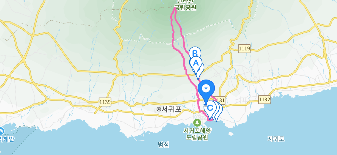 (주)디아나 이미지