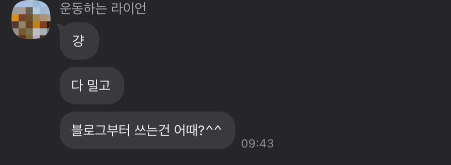 동글타코 이미지