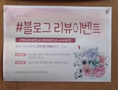 벨라몽 이미지