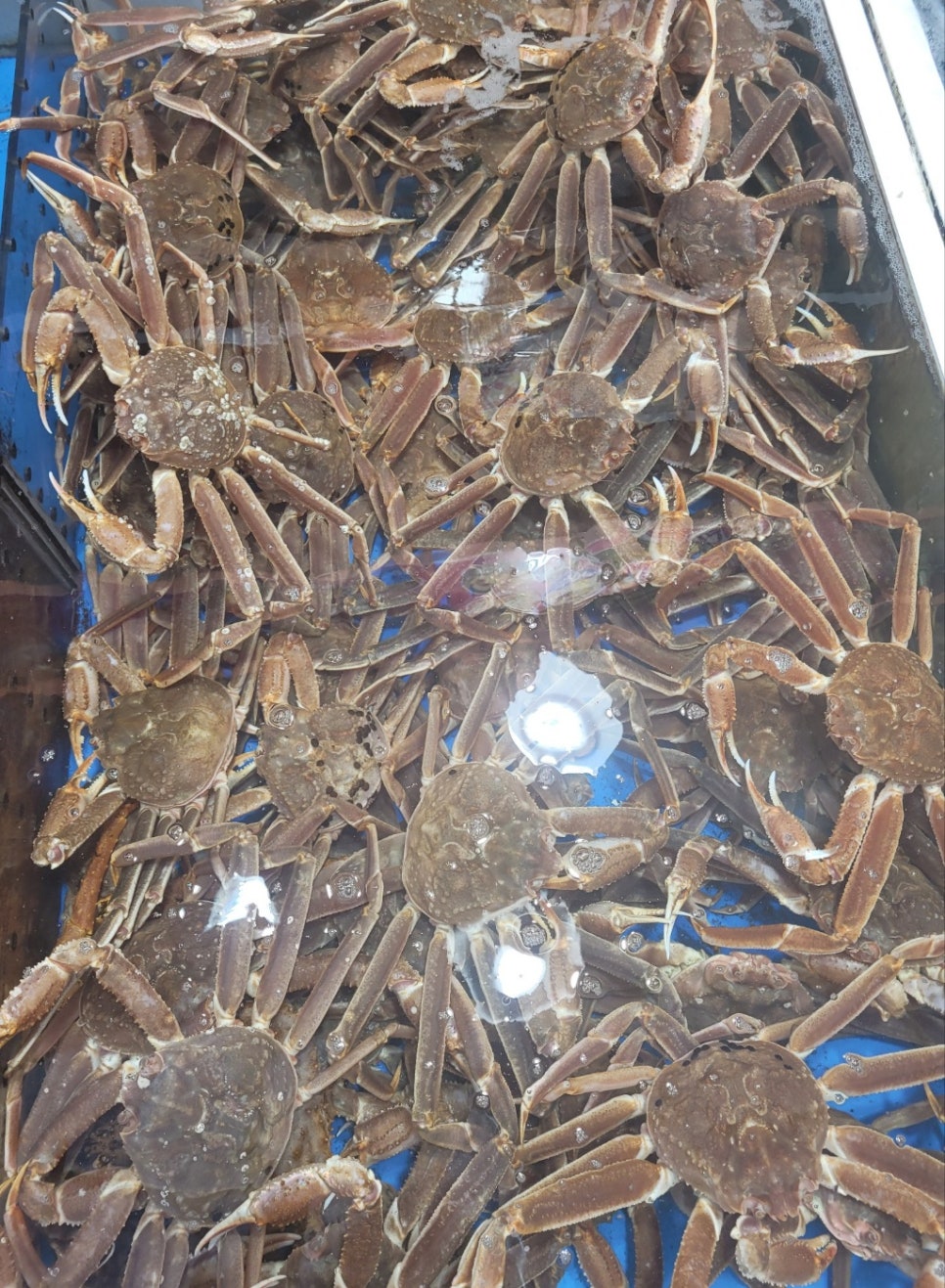 대포수산 이미지