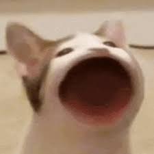 소프스튜디오 이미지