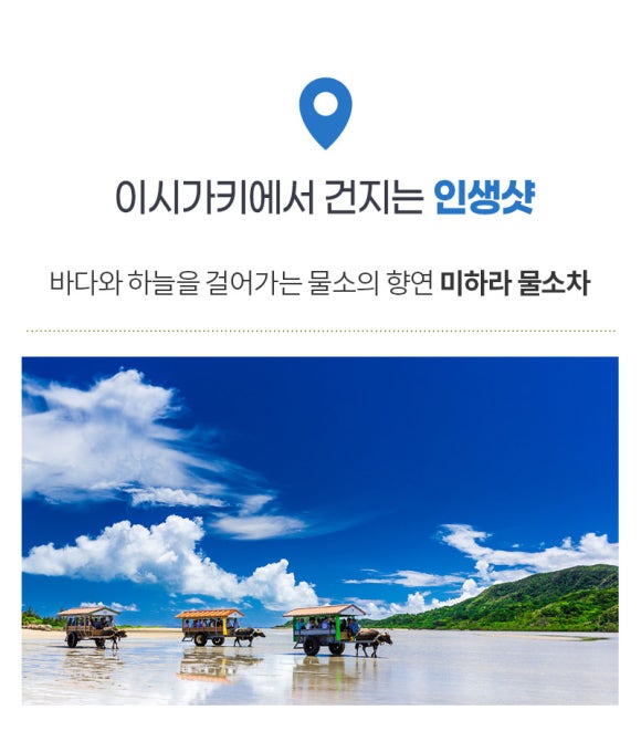 티에스투어 이미지