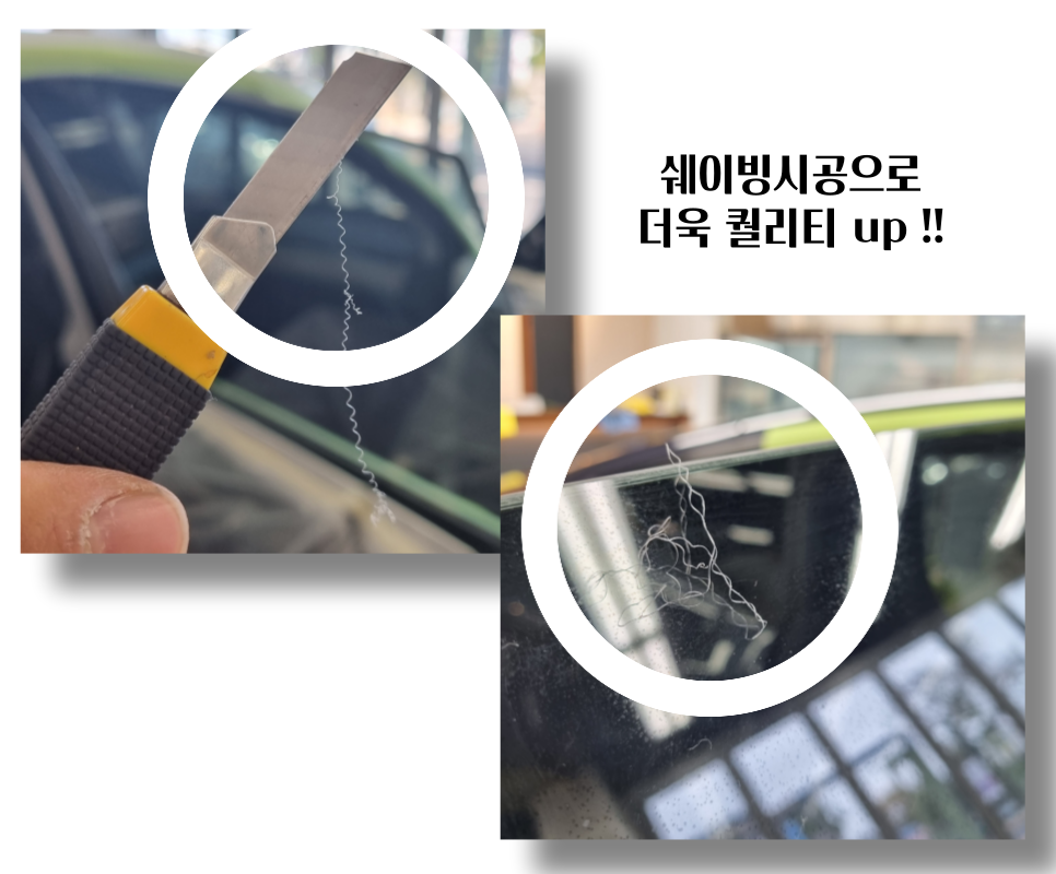 바이렉트 이미지