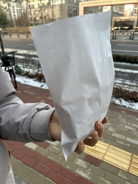 모리셔스브라운영종점 이미지