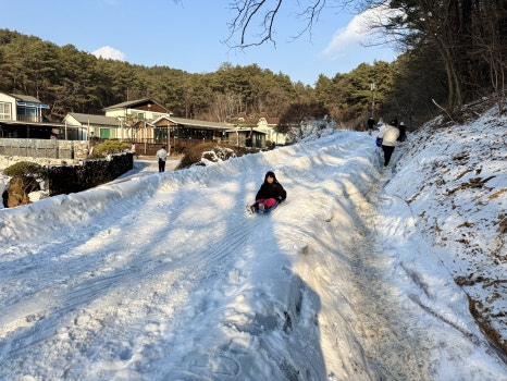 토리샘 이미지