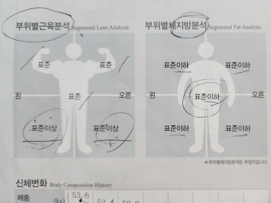 미도핏 이미지