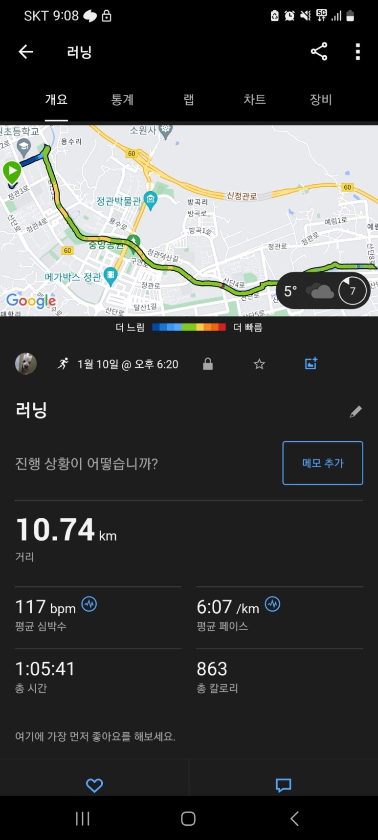 별미정 이미지