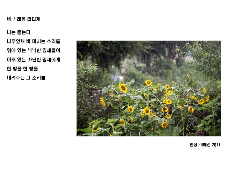 티케이비 이미지