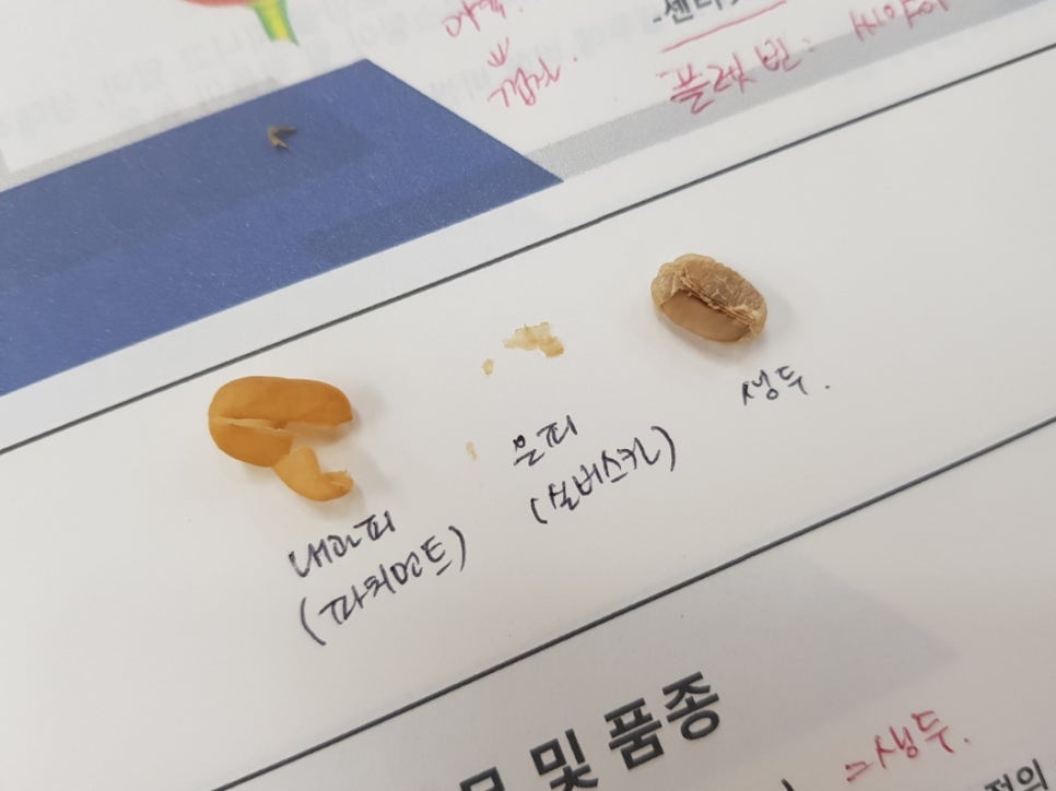 강승희제과제빵커피학원 이미지
