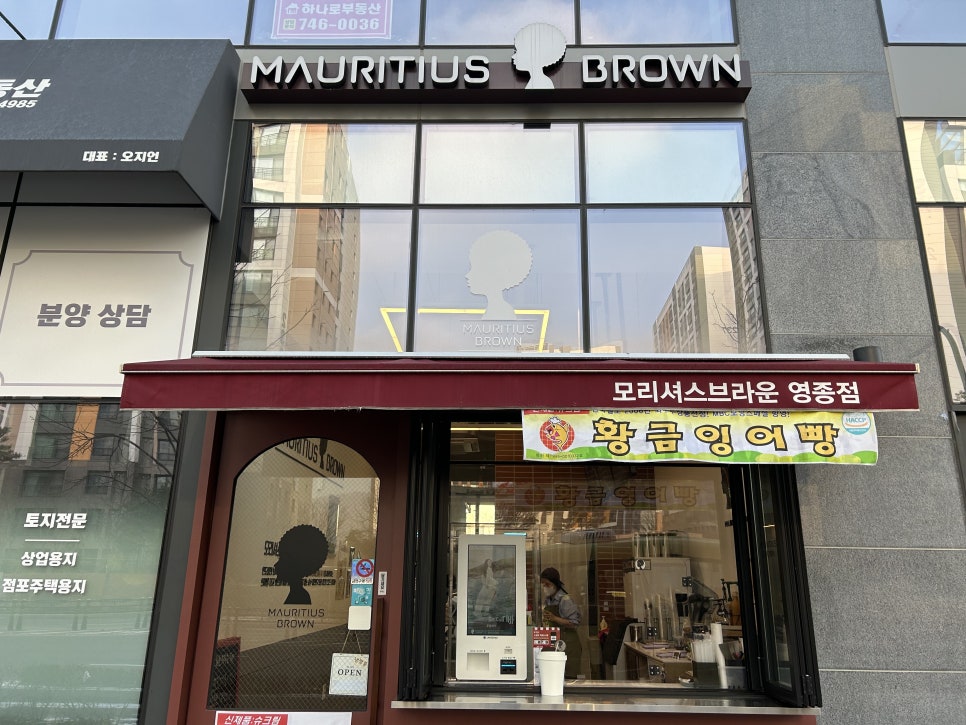 모리셔스브라운영종점 이미지