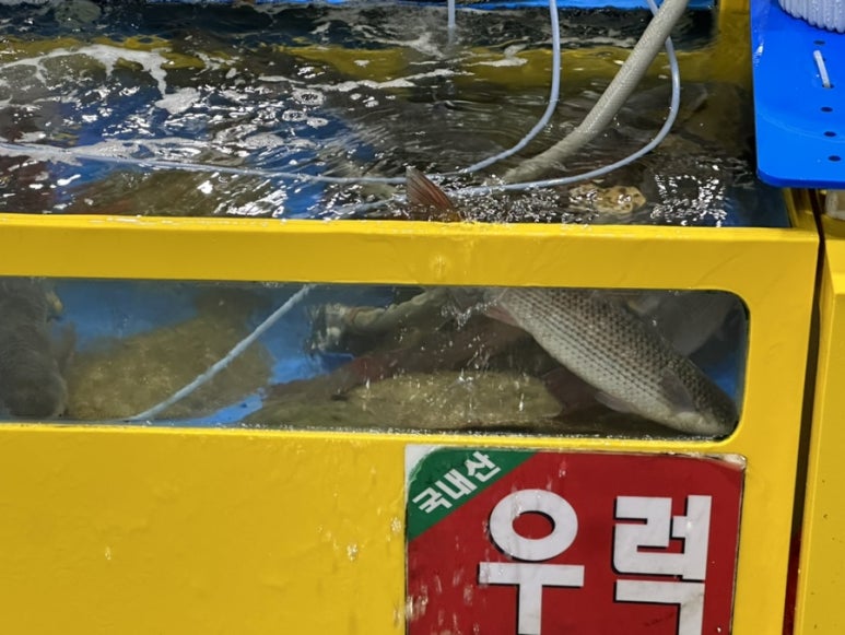 재영수산 이미지
