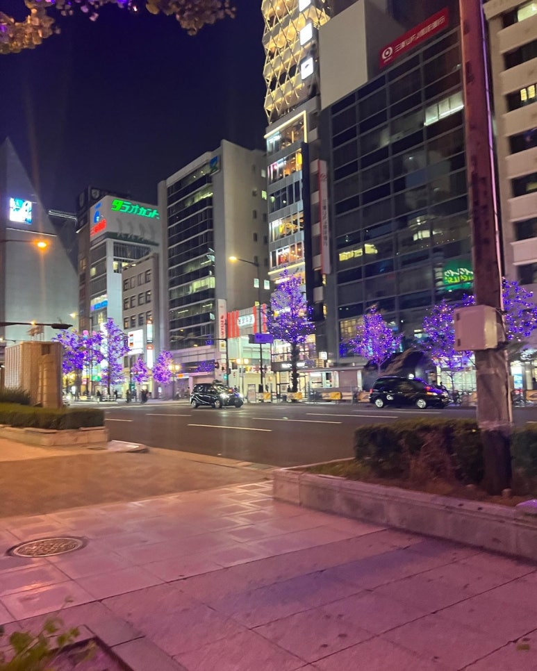 세계테마여행사 이미지