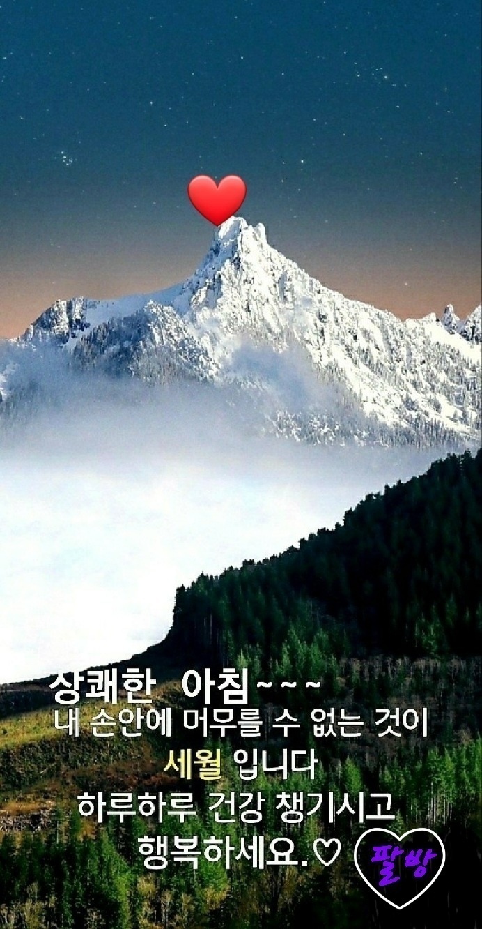 미디한 이미지