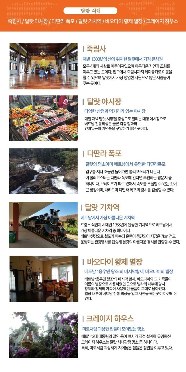 비타민여행사 이미지