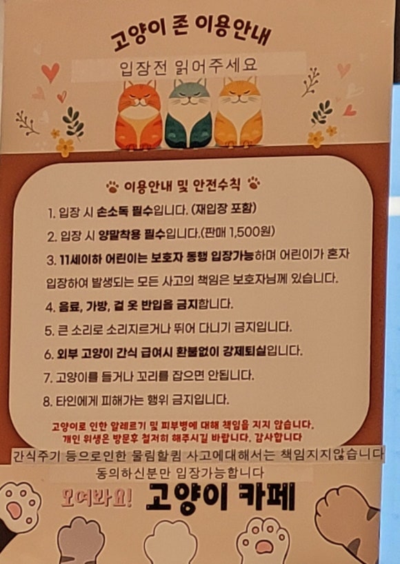 모여봐요 고양이카페 이미지