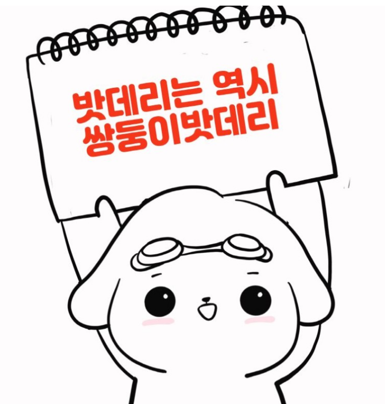 8;8밧데리 이미지
