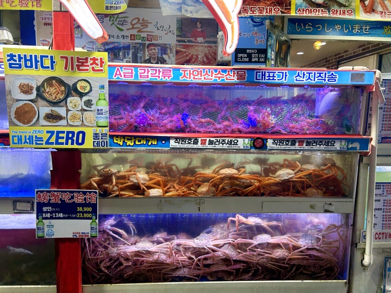 참바다&대게와친구 이미지