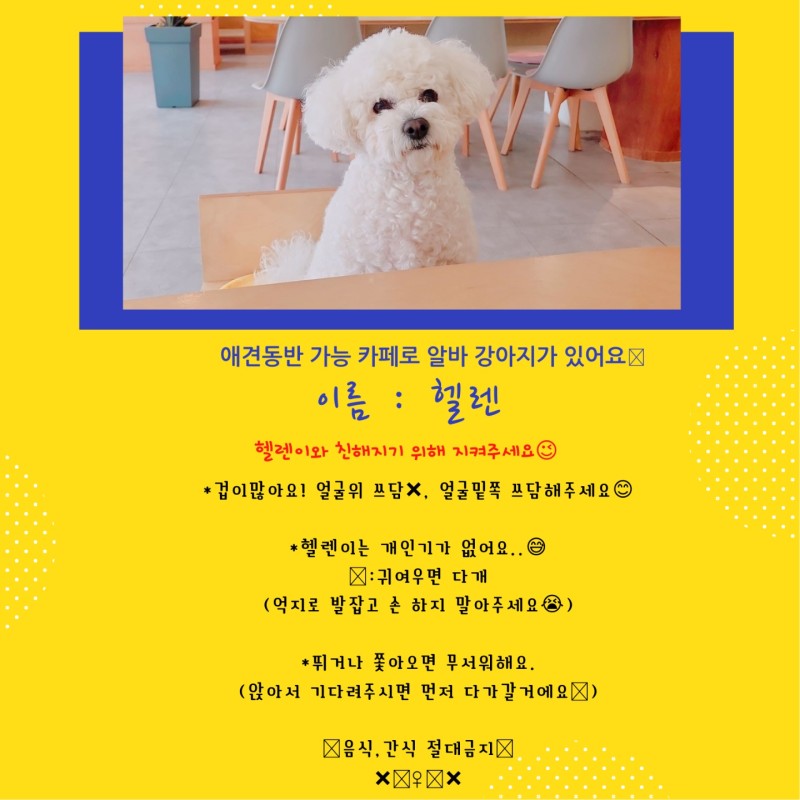 카페인스 이미지