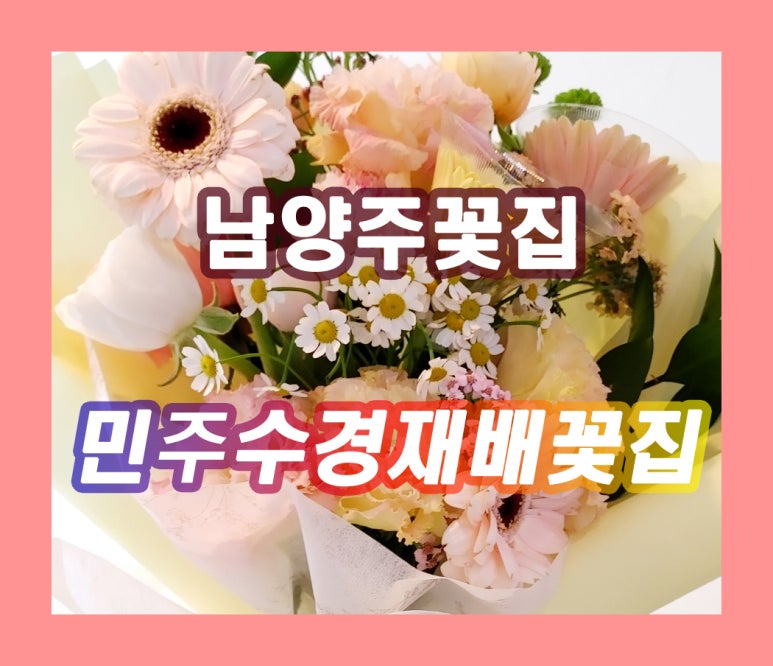 민주수경재배꽃집 이미지