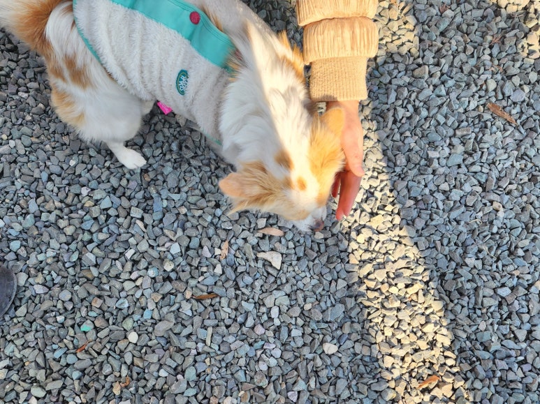 바베큐타운215 이미지