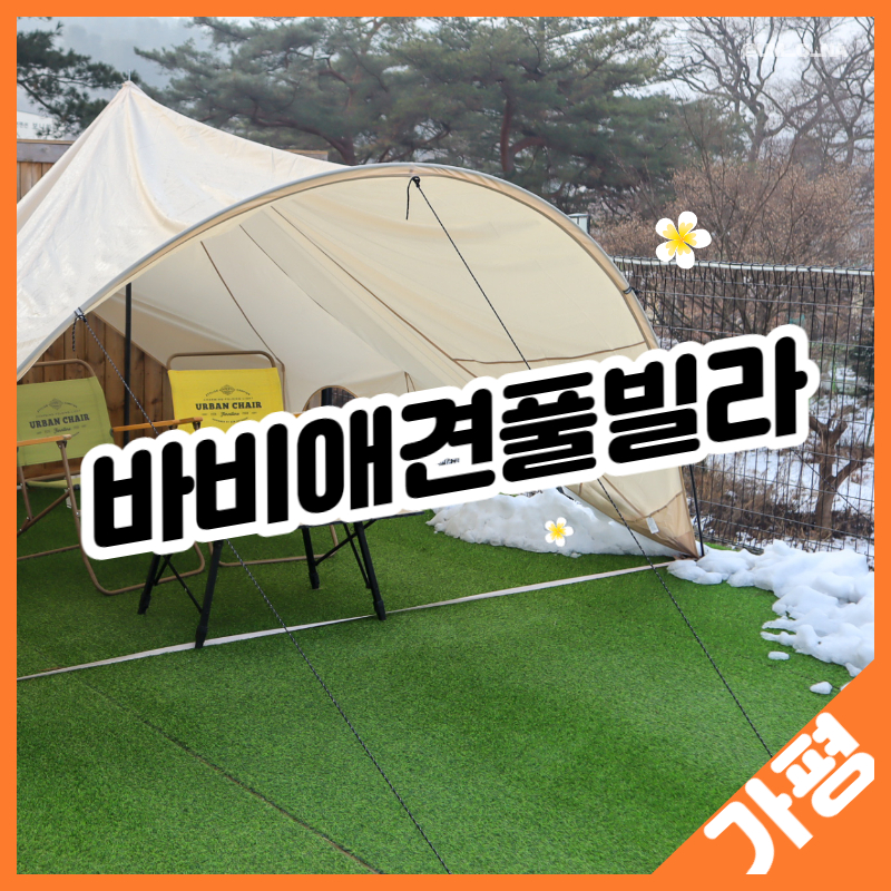 바비애견풀빌라 이미지