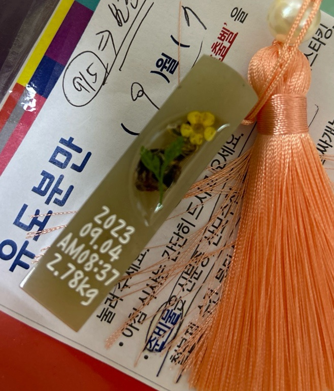 이든컴퍼니 이미지