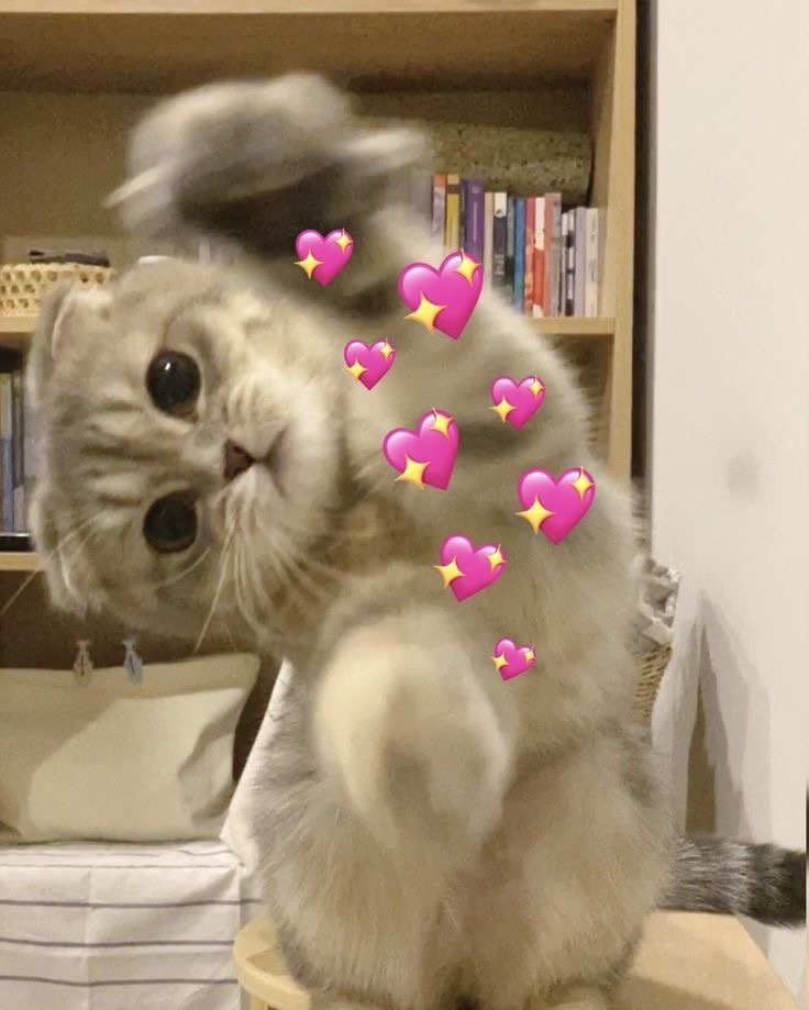 아리윤 이미지
