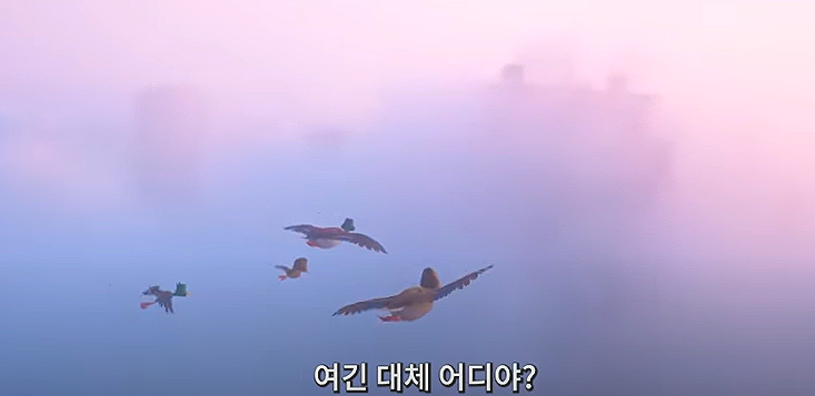구름의 길 픽쳐스 이미지
