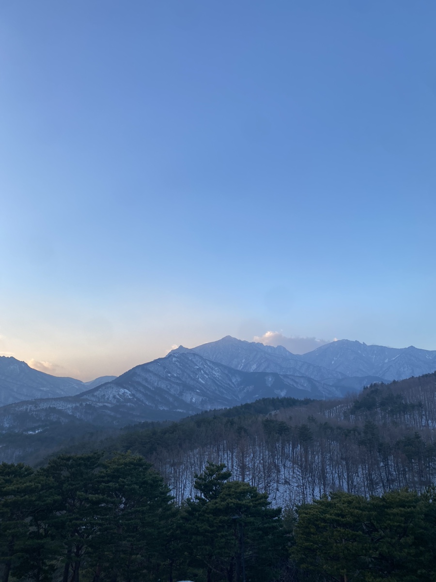우김버거 이미지