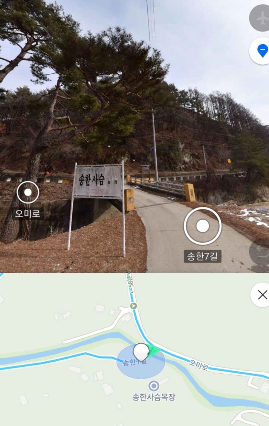 다육촌 이미지