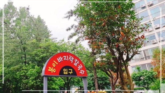 일산칼국수 이미지